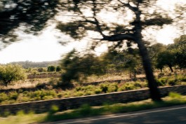  Fabian Stoffers Fotograf Photographer Munich