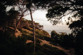  Fabian Stoffers Fotograf Photographer Munich