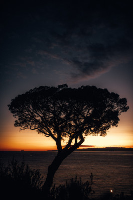  Fabian Stoffers Fotograf Photographer Munich