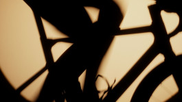  Fabian Stoffers Fotograf Photographer Munich